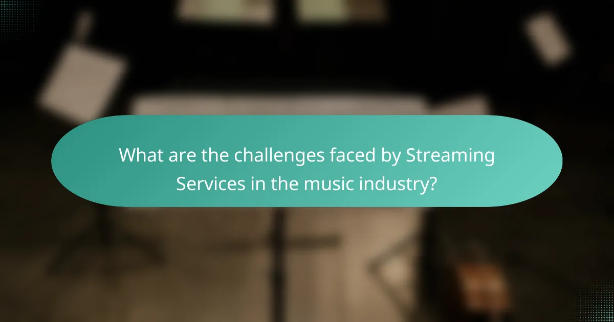 What are the challenges faced by Streaming Services in the music industry?