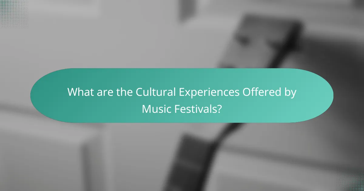 What are the Cultural Experiences Offered by Music Festivals?