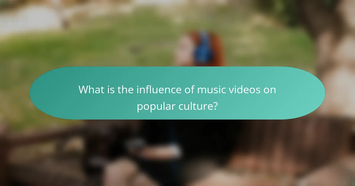 What is the influence of music videos on popular culture?